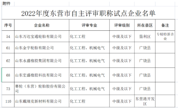 1670808972945215.png 职称自主评审,5家轮胎企业试点!